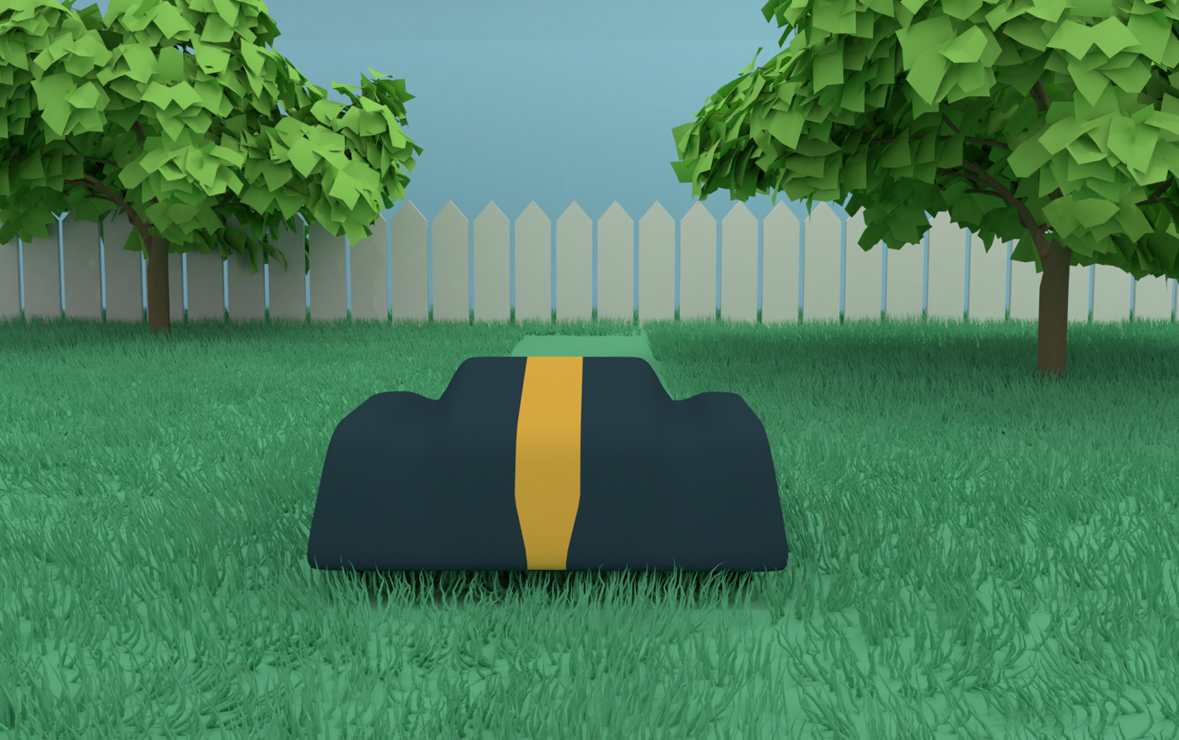 animation